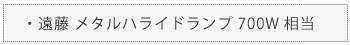 遠藤 メタルハライドランプ 700W相当