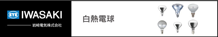 岩崎電気 白熱電球 激安特価販売 【看板材料.COM】